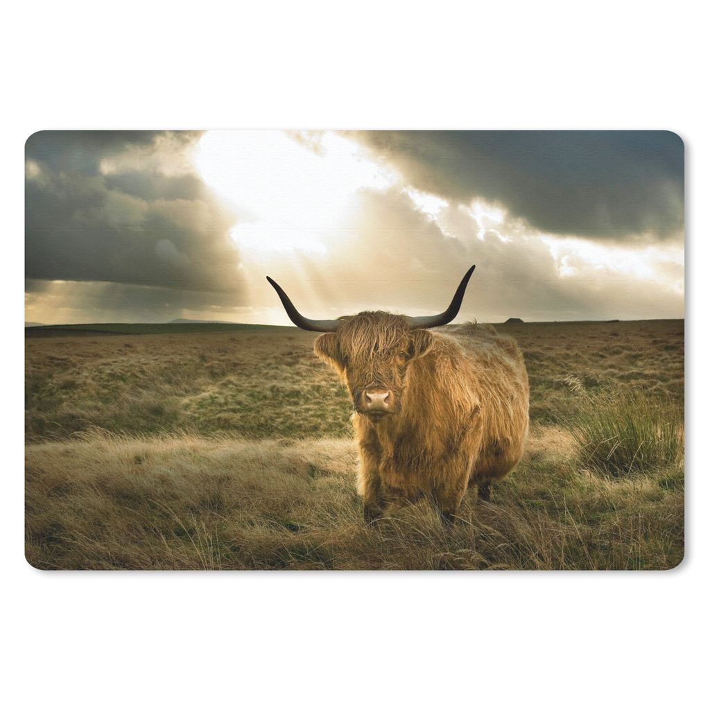 MuchoWow Schreibtischunterlage Schottischer Hochländer - Sonne - Gras 60x40 cm - XXL Mauspad - Großes Mauspad