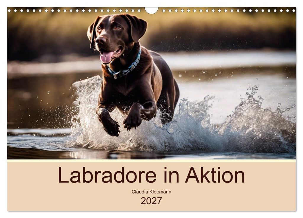 Labradore in Aktion (Wandkalender 2027 DIN A3 quer), CALVENDO Monatskalender