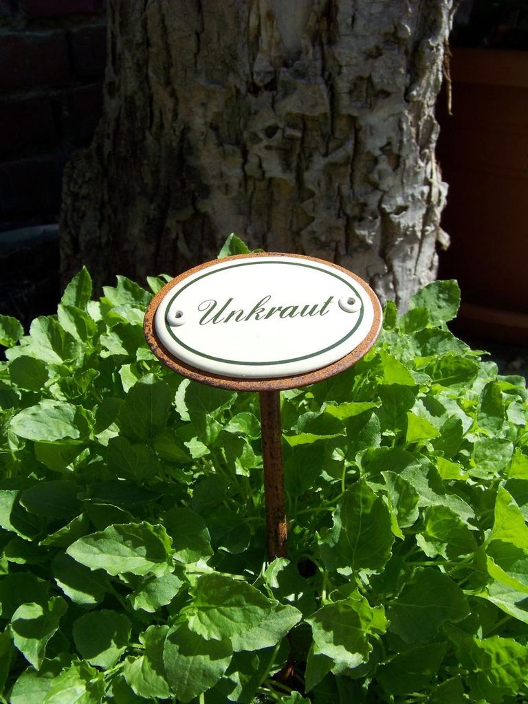 Kräuternamenschild Unkraut