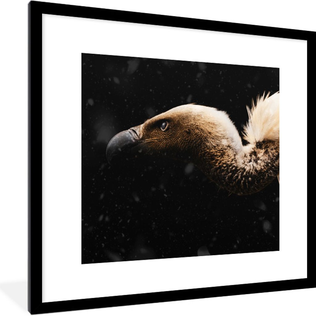 MuchoWow® MuchoWow® Gerahmtes Poster Geier - Weiß - Schwarz Produktbild 