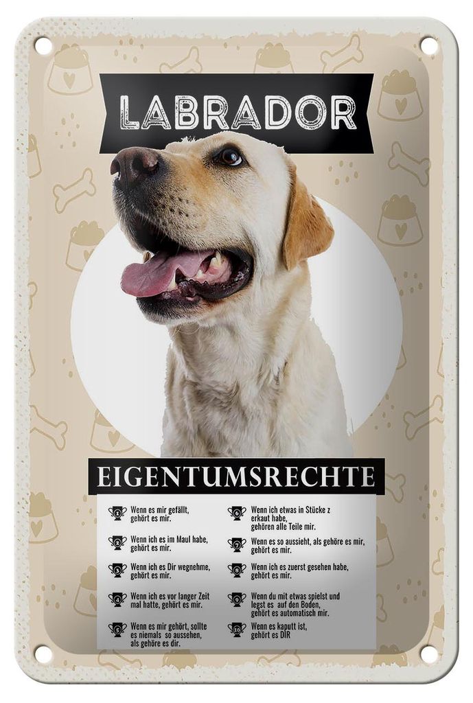 Blechschild Spruch 12x18cm Labrador Eigentumsrechte Geschenk Schild