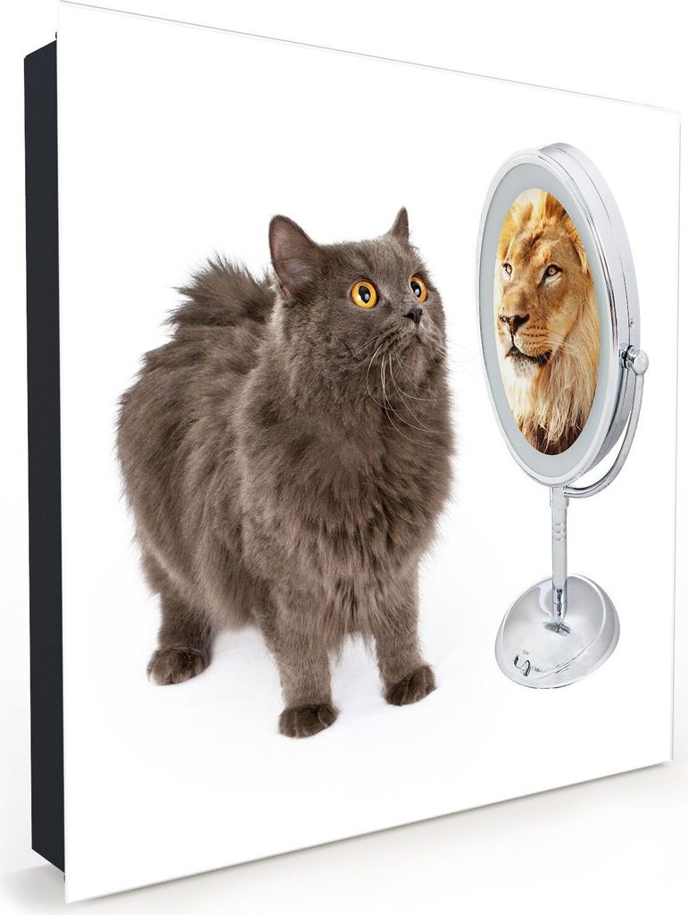 Nachbildung-Schlüsselkasten, Magnetpinnwand und Memoboard mit Glasfront Motiv Katze sieht Löwe im Spiegel