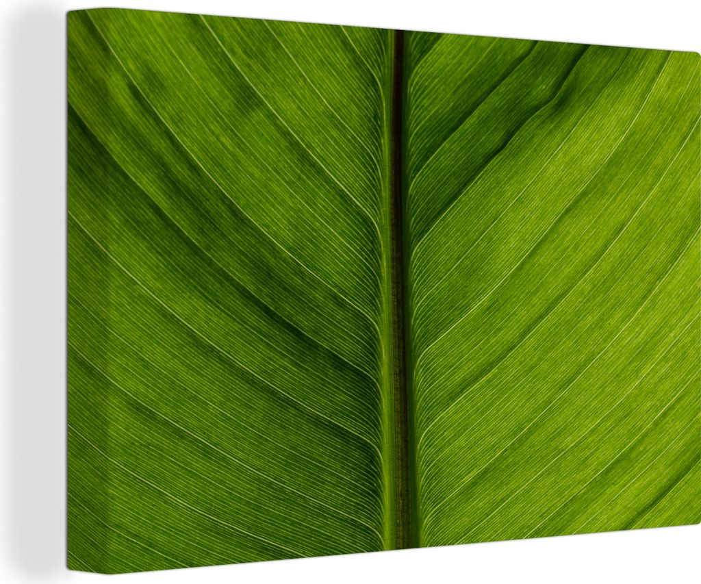 OneMillionCanvasses - Leinwandbilder - 140x90 cm, Blätter - Textur - Grün, Wandbilder Kunstdruck Wanddekoration - Foto auf Leinwand - Gemälde ...