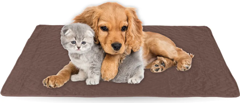 Morbida Coperta Termica per Cani e Gatti: Protezione Divano Lavabile