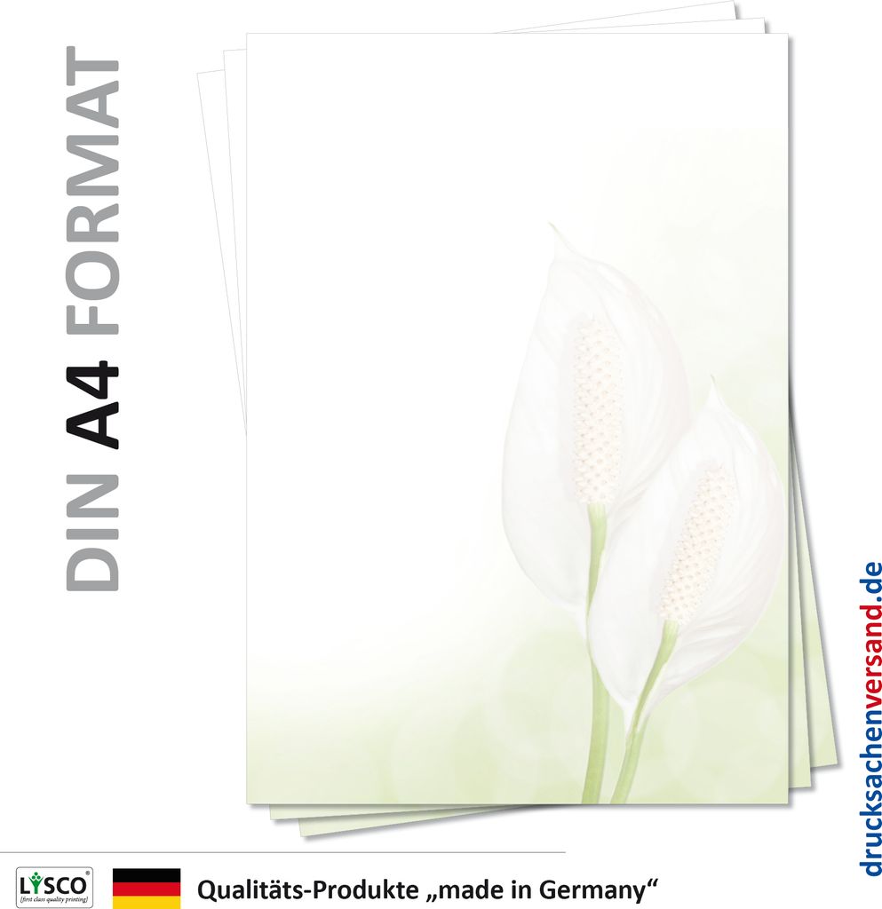 Motiv Briefpapier (Blumen-5117, DIN A4, 25 Blatt) Zimmerpflanzen grünes Briefpapier mit weißer Blume Einblatt Motivpapier