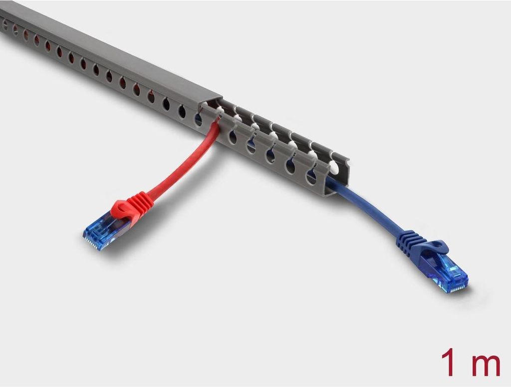 DELOCK Verdrahtungskanal 20 x 20 mm - Länge 1 m grau