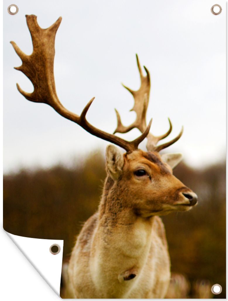 MuchoWow 30x40 cm Outdoor-Poster Gartendeko Sichtschutz Garten Poster für den Garten Damhirsch - Wald - Herde - Tiere - Natur