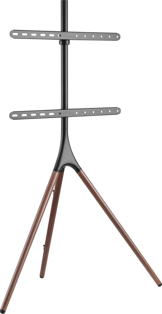 AlzaErgo S110 Support TV sur Pied 45-65 pouces Noir pour Salon