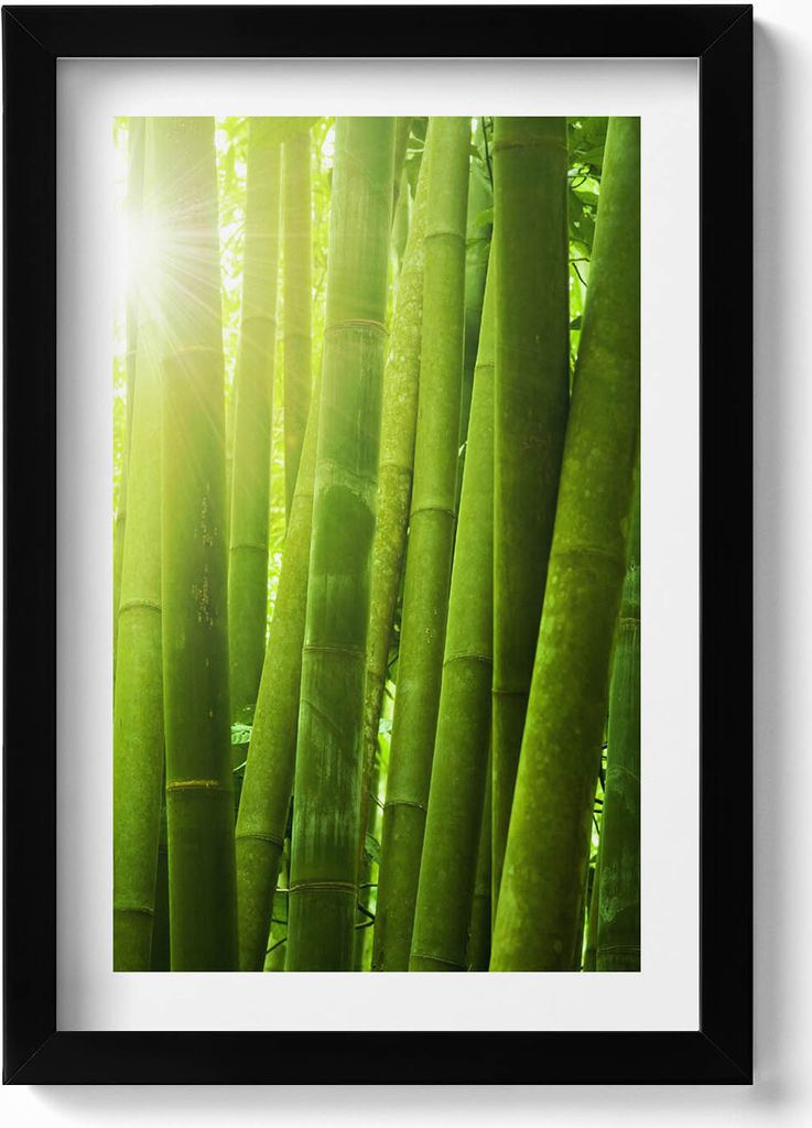 Grüne Bambushalme– Wandbild mit Rahmen – Gerahmtes Bild – Wanddekoration – 20x30 cm – Schwarz