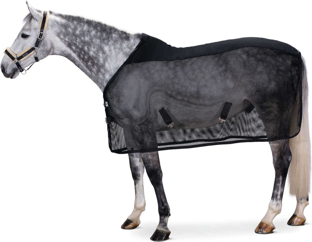 Eskadron New Basic Pro Cover Dura Fliegendecke