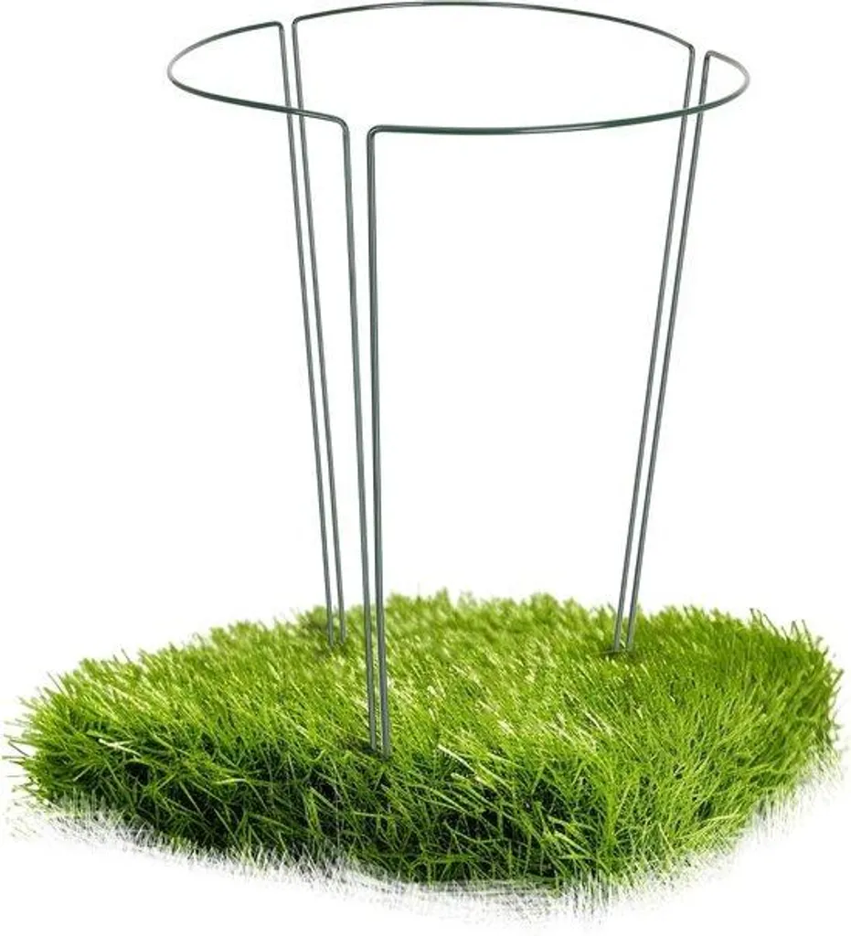 Tuteur pour rosiers et plantes grimpantes en acier fixe - Set de 3 pièces