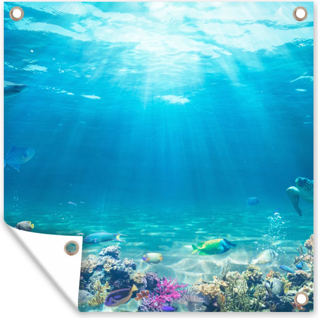 MuchoWow 50x50 cm Outdoor-Poster Gartendeko Sichtschutz Garten Poster für den Garten Unterwasserwelt - Meerestiere - Wasser - Korallen - Blau