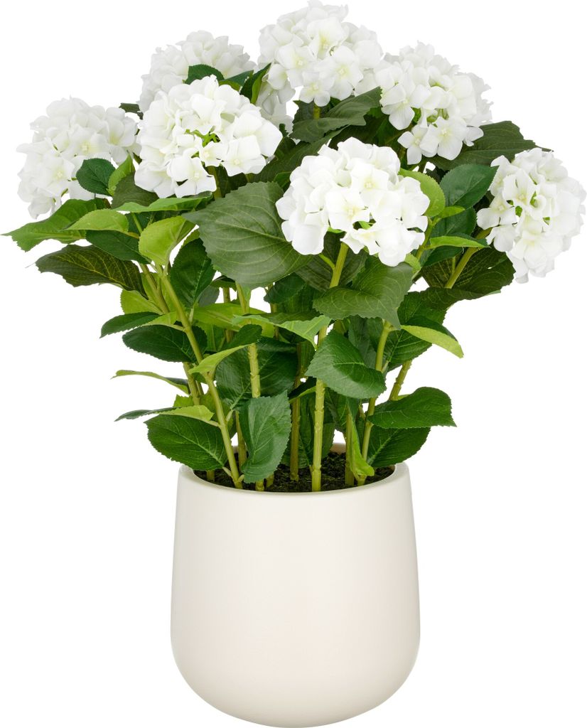Hortensien Arrangement 70 cm Weiß im cremefarbenen Kunststofftopf 24x26 cm Künstliche Blume