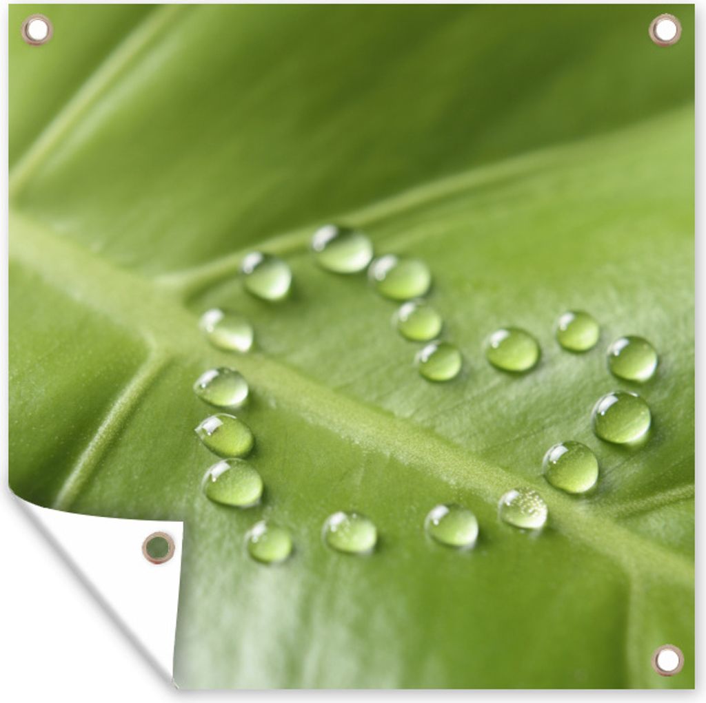 MuchoWow 100x100 cm Outdoor-Poster Gartendeko Sichtschutz Garten Poster für den Garten Foto eines botanischen Blattes mit Wassertropfen in Form ...