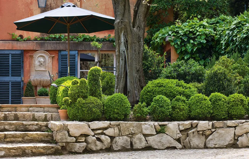 Aménagement Jardin Méditerranéen : Guide de Design et Styles Extérieurs - 4