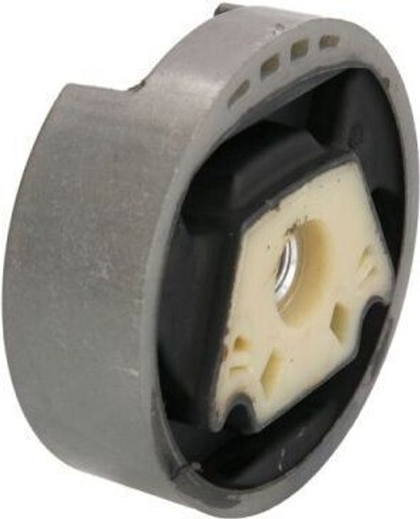 Motorträger REINHOCH RH11-0137