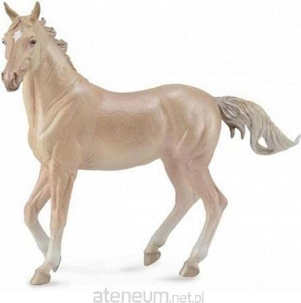 Collecta XL-Stute Pius Palomino – Detailgetreue Pferdefigur Für Spiel & Sammeln