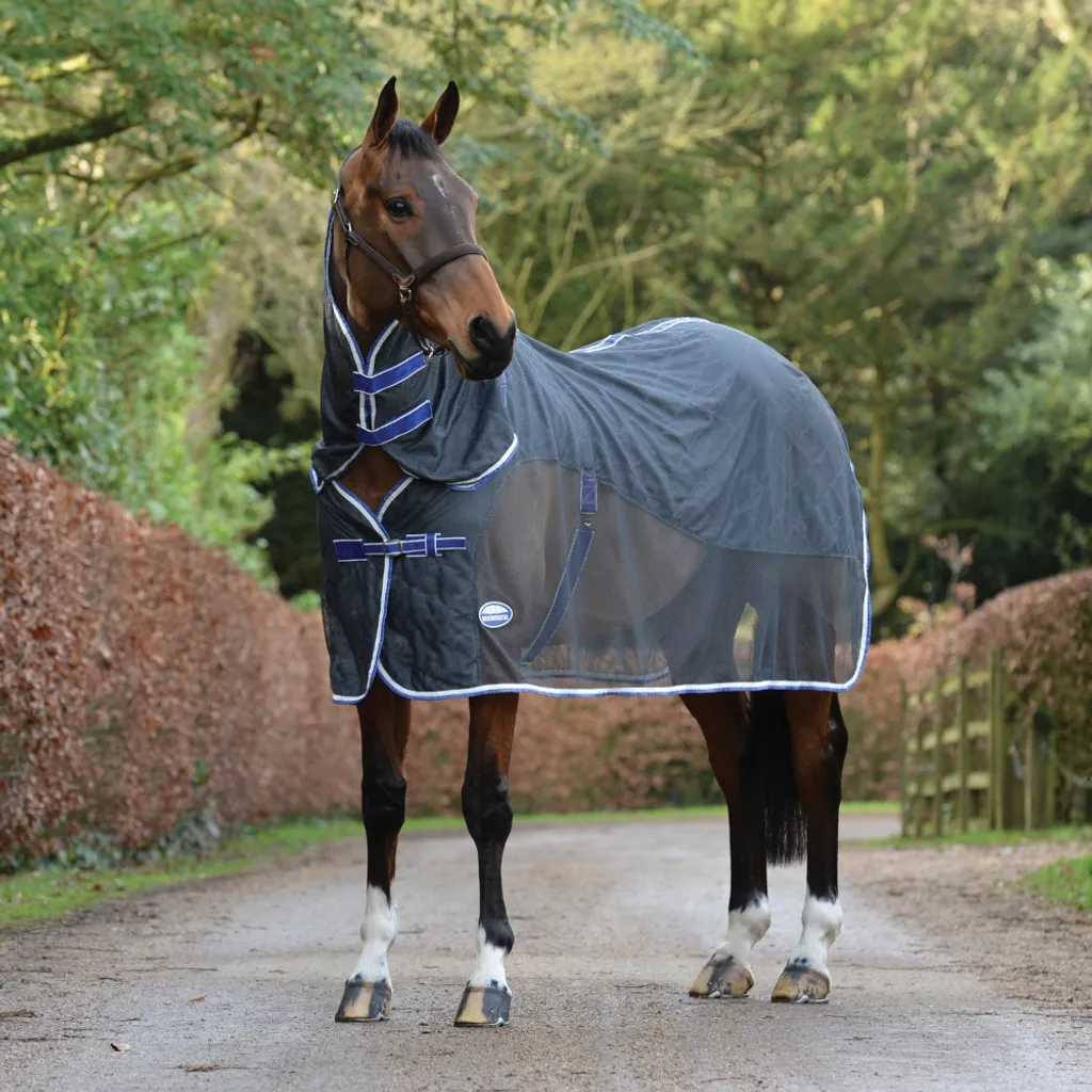 Couverture séchante cheval pour le transport et après l'effort