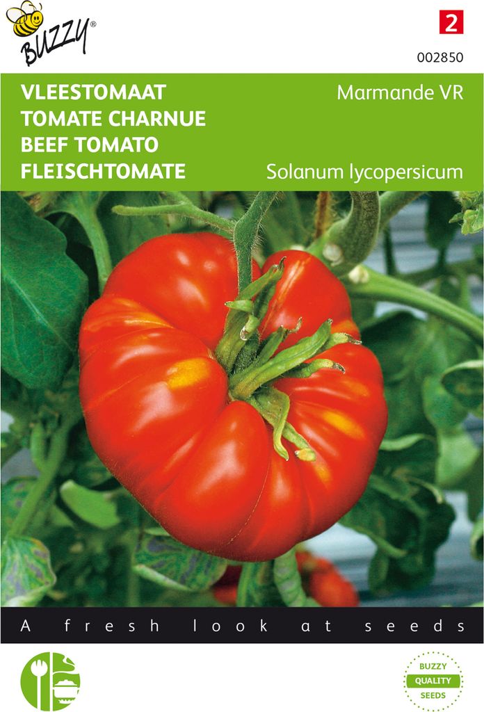 Fleischtomate Marmande VR | Fleischtomatensamen von Buzzy Seeds