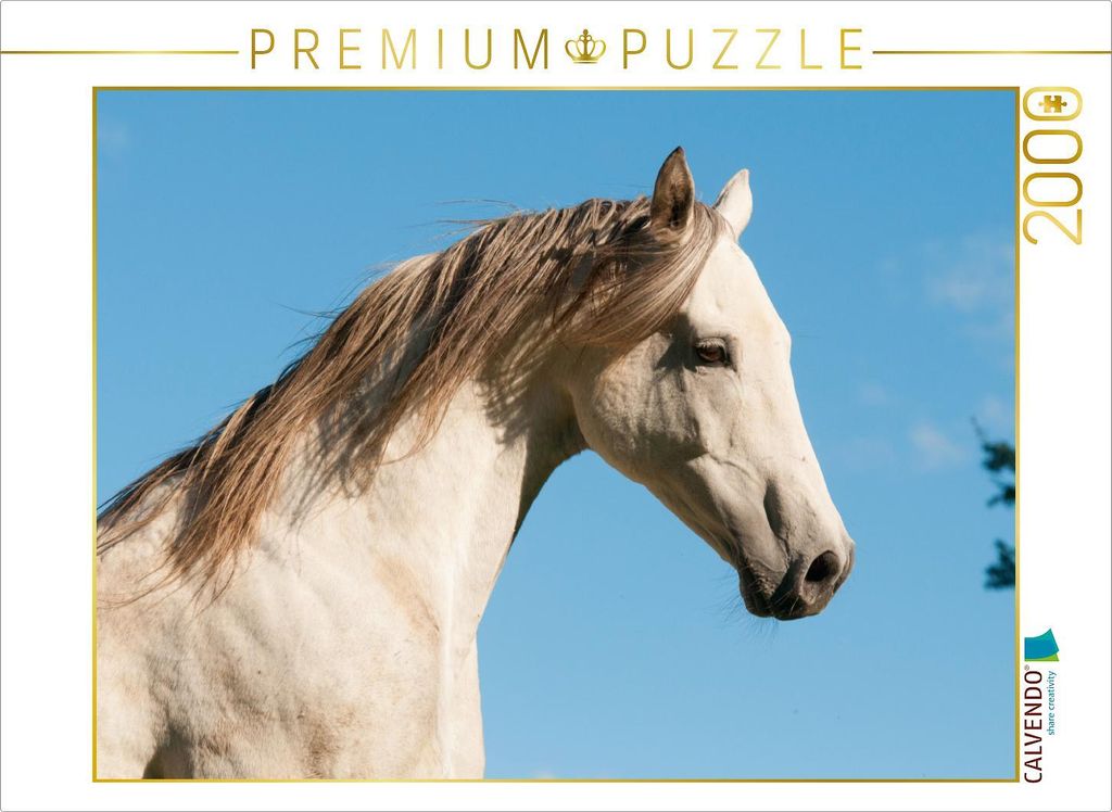CALVENDO Puzzle Zauberhaftes Araber-Pferd 2000 Teile Puzzle quer | 2000 Teile Lege-Größe 90x67cm Foto-Puzzle für glückliche Stunden