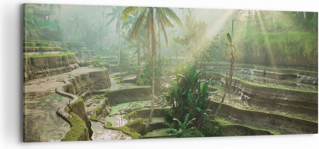 Bild auf Leinwand - Leinwandbild - Einteilig - Terrassen Reis Palmen - 100x40cm - Wand Bild - Wanddeko - Wandbilder - Leinwanddruck - Bilder - Wand...