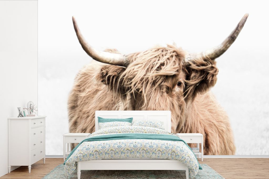 MuchoWow Fototapete für Wohnzimmer oder Schlafzimmer Wandtapete Vinyl Motivtapete Schottischer Highlander - Tiere - Fell - 525x350 cm - Das Hint...