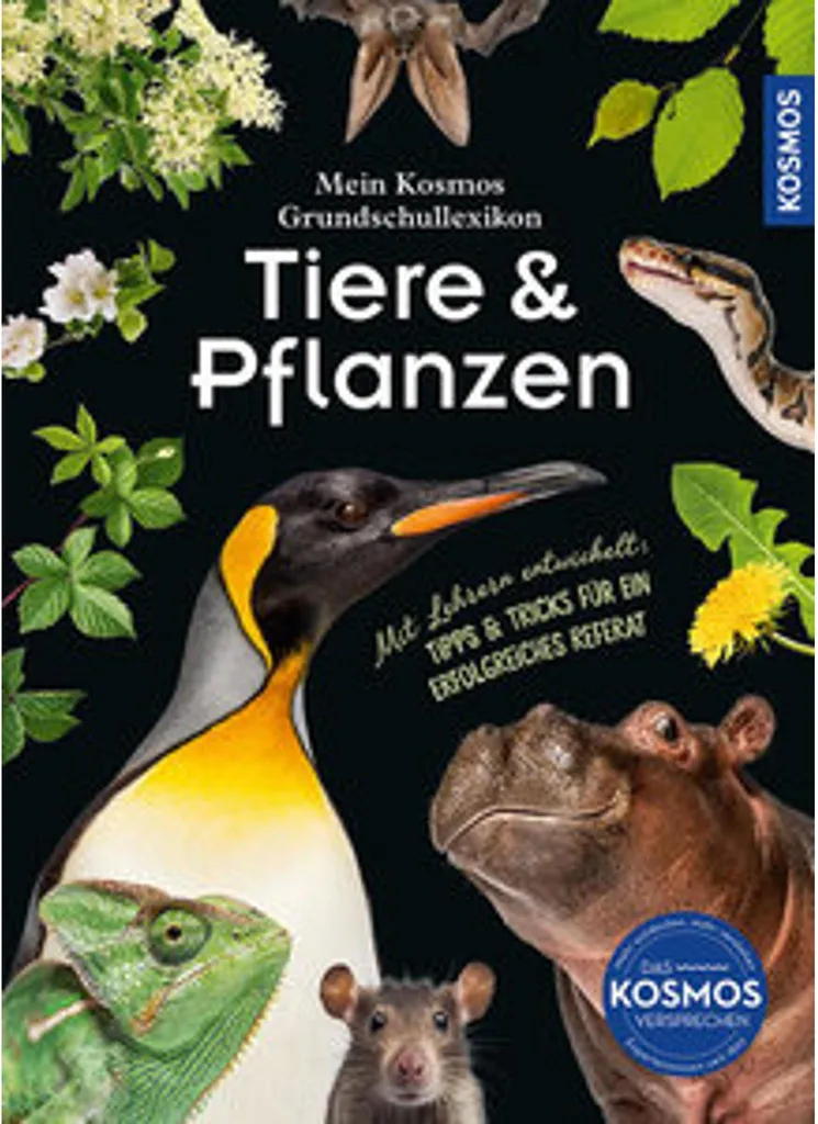 Dictionnaire Nature Enfant avec Photos HD : Animaux et Plantes du Primaire