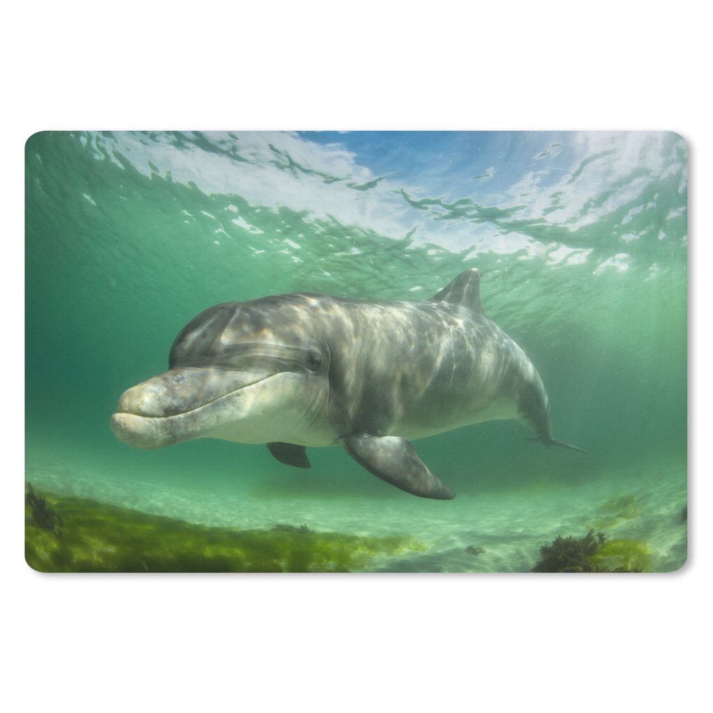 MuchoWow® Mauspad Mousepad Delfin - Tiere - Wasser 27x18 cm Produktbild 