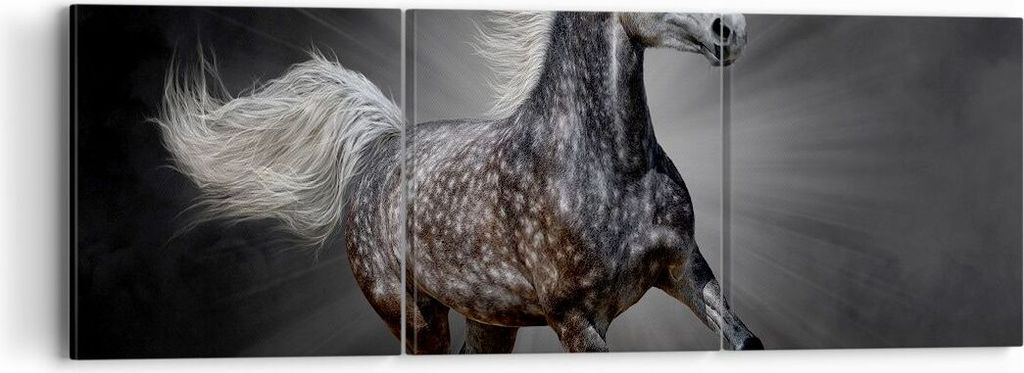 Bild auf Leinwand - Leinwandbild - Pferd Tier Natur - 90x30cm - Wand Bild - Wanddeko - Wandbilder - Leinwanddruck - Bilder - Kunstdruck - Wanddekor...
