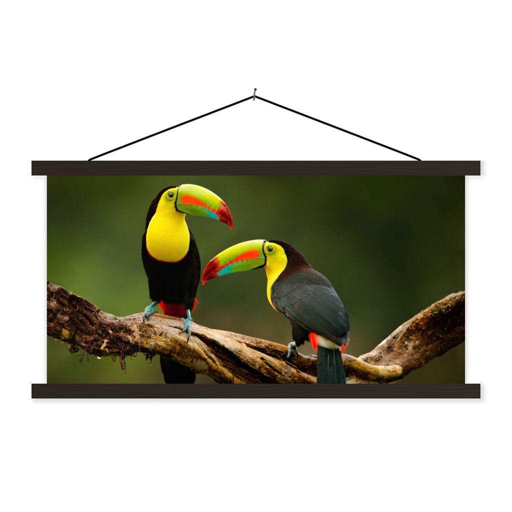 MuchoWow Textilposter Vögel - Tukan - Zweig - Tiere - Regenbogen 60x30 cm mit schwarzem Rahmen - Textilien