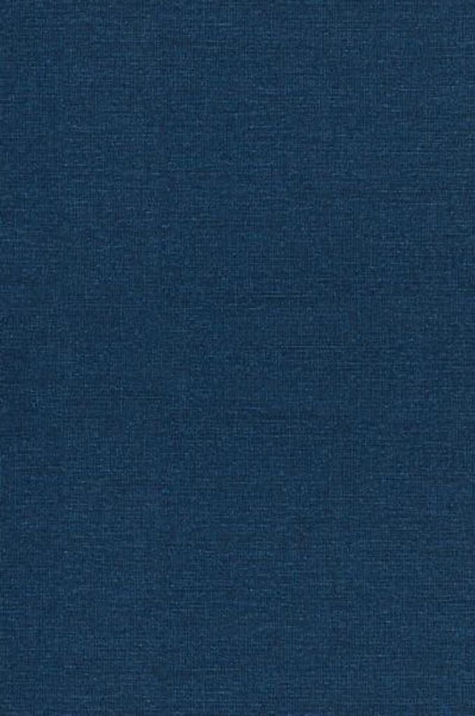 Die Abschaffung des Menschen