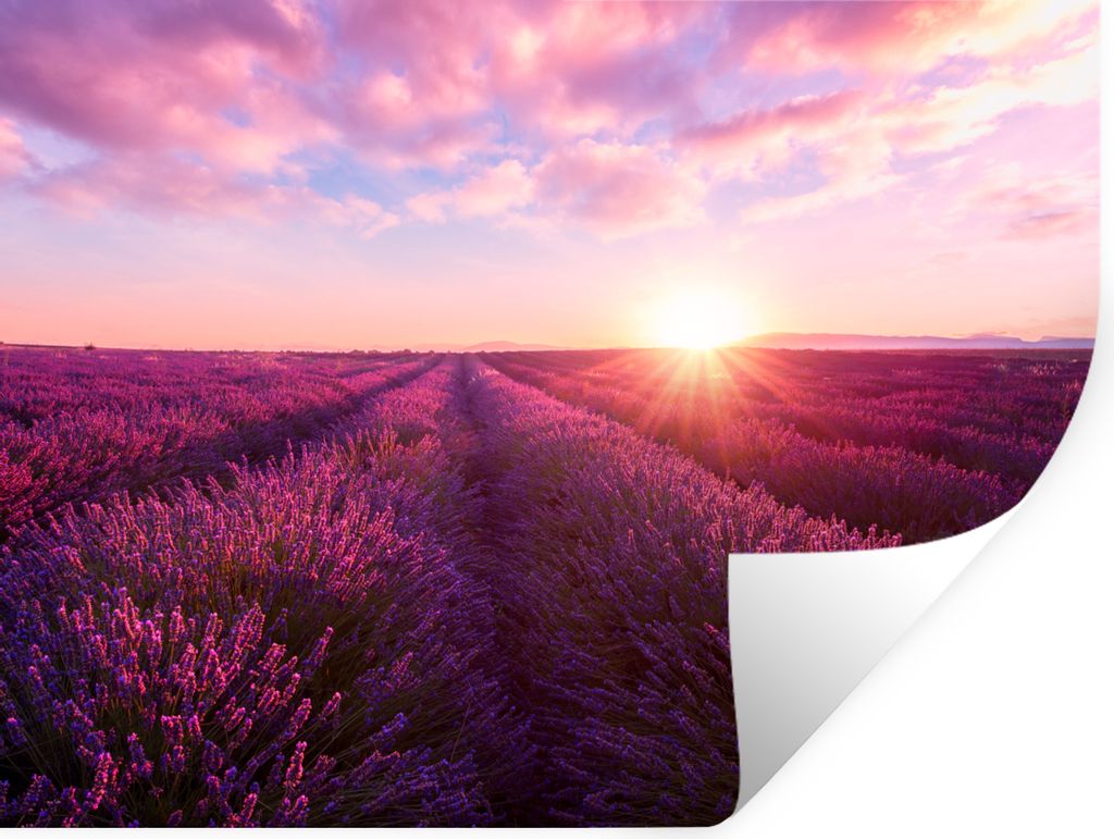 MuchoWow Wandtattoo Wandsticker Wandaufkleber Lavendel - Blumen - Frankreich 120x90 cm Selbstklebend und Repositionierbar - Aufkleber