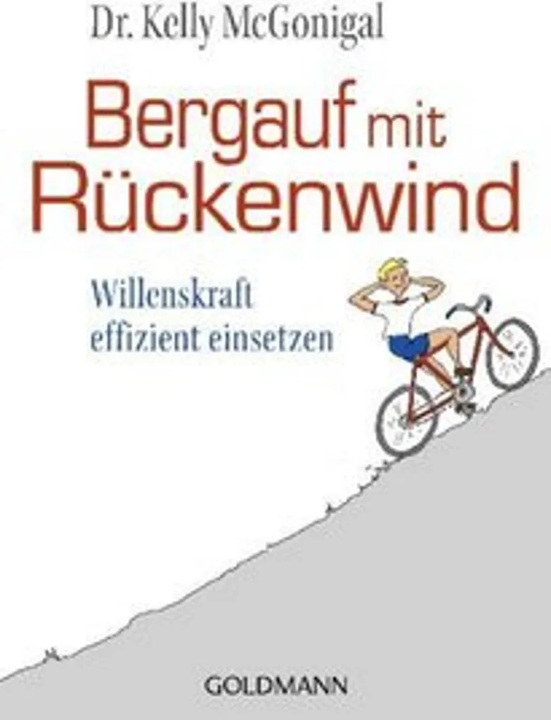 Bergauf mit Rückenwind Velo Electrique de Ville Performant et Robuste