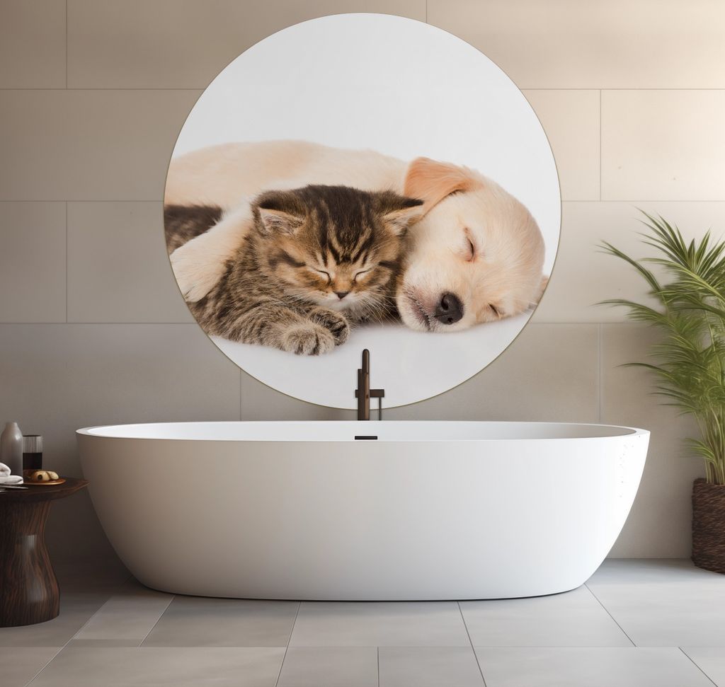 Wallario wasserfestes Poster selbstklebend 120 x 120 cm, Katze und Hund in Harmonie - Kuschelnde Tiere, Badezimmerposter Spritzschutz mit Hochglanz...