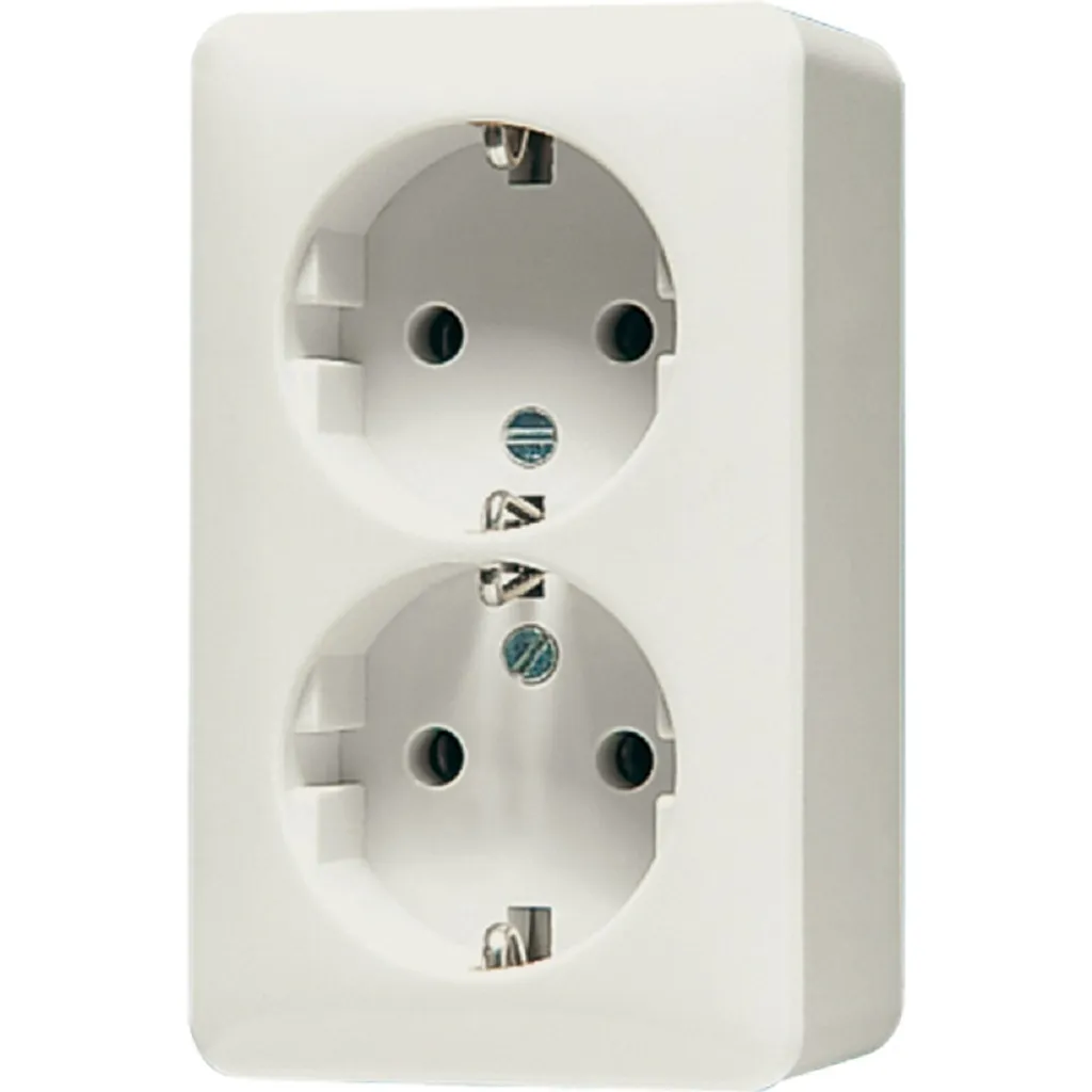 JUNG Prise Schuko 6020A AP600 Double Blanc 16A IP20 pour Montage Saillie