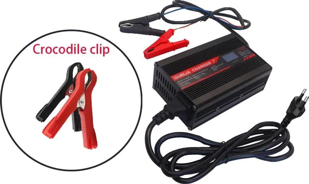 Caricabatterie Professionale 220V 12V/24V - Spedizione Rapida