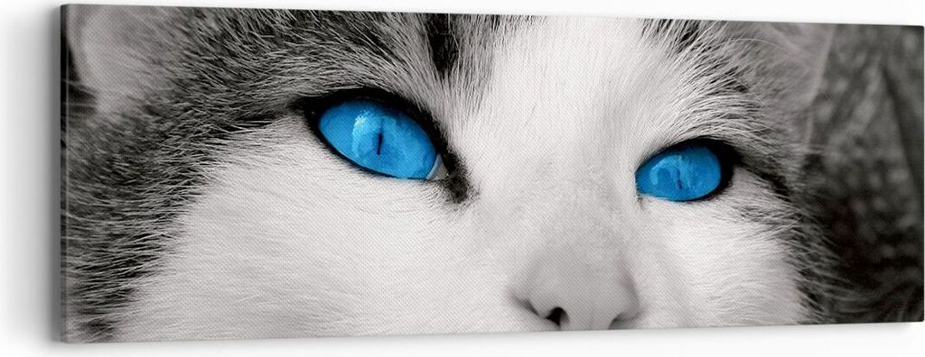 Bild auf Leinwand - Leinwandbild - Katze Tiere blaue Augen - 90x30cm - Wand Bild - Wanddeko - Leinwanddruck - Bilder - Kunstdruck - Wanddekoration ...