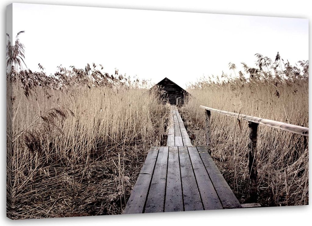Leinwandbild alte seebrücke im hohen schilf 90x60 cm Feeby beige wandbild bereit zum aufhängen