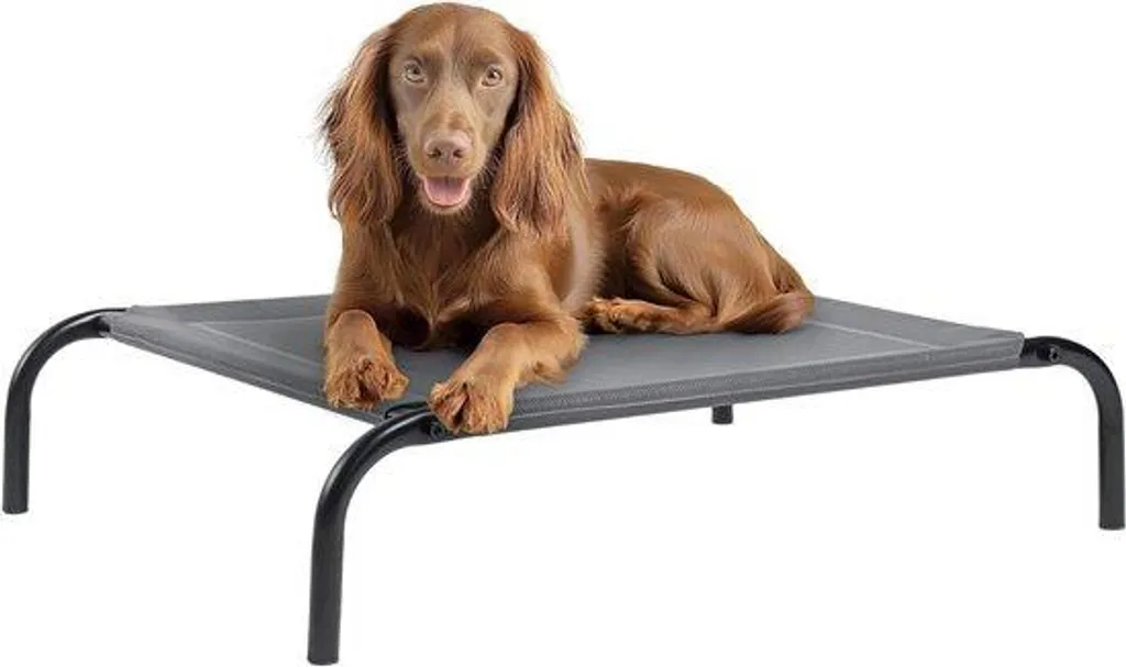 Stretcher Lit Chien Moyen Modèle à Effet Fraîcheur - Idéal Jardin/Plage