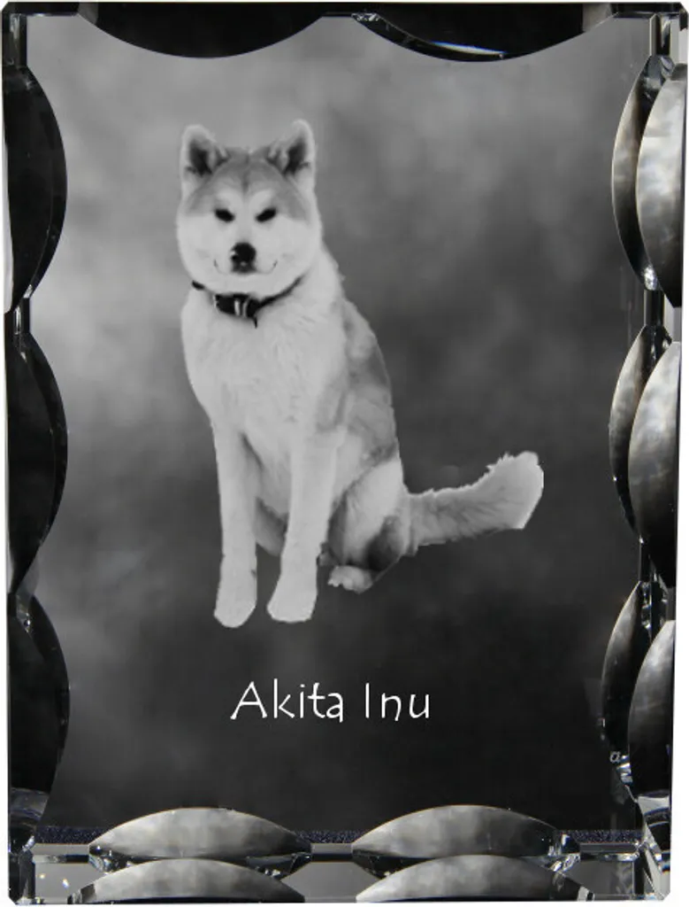 Art-Dog Akita Inu Cristallo Decorativo - Cornice Vetro Foto Cani