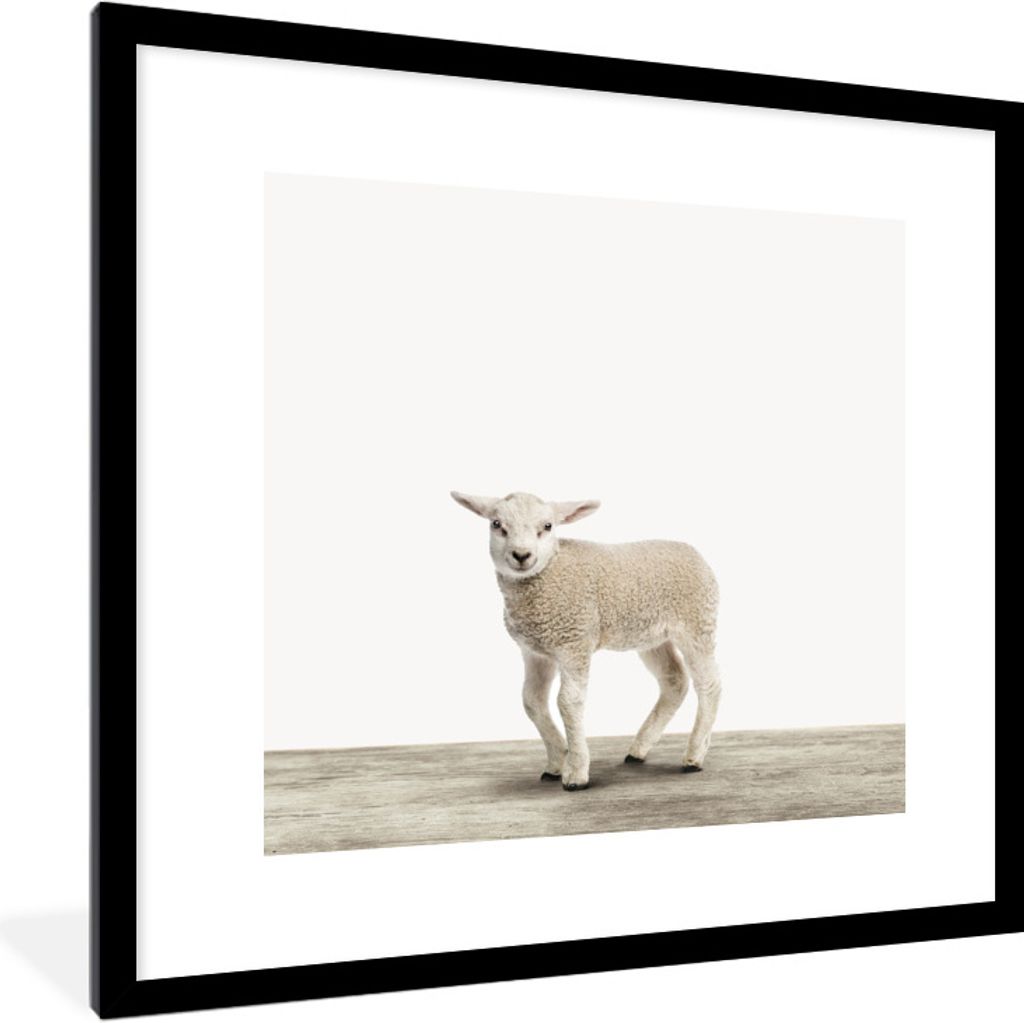 MuchoWow Gerahmtes Poster Lamm - Schaf - Tiere - Kinder - Mädchen - Jungen 40x40 cm - Poster mit Schwarzem Bilderrahmen Wandposter Rahmen Foto B...
