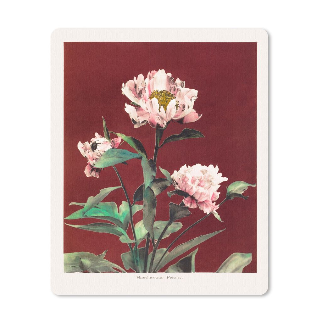 MuchoWow Mauspad Mousepad Blumen - Pflanzen - Farben - Rot - Vintage 30x40 cm - Mousepads - Maus Mat - Pad - Mausunterlage - Mausmatten