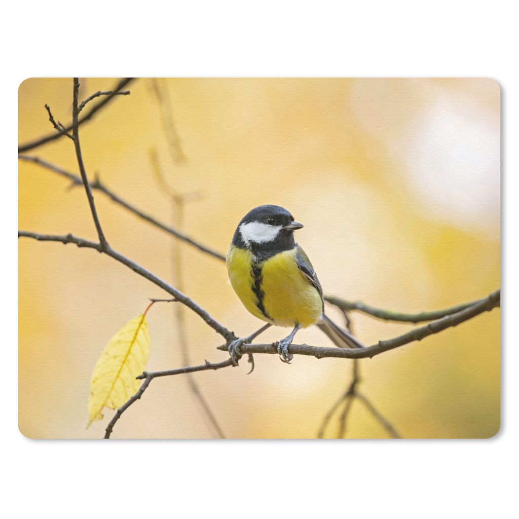MuchoWow Mauspad Mousepad Kohlmeise - Zweig - Vogel - Tiere 23x19 cm - Mousepads - Maus Mat - Pad - Mausunterlage - Schreibtischunterlage - Mauspad