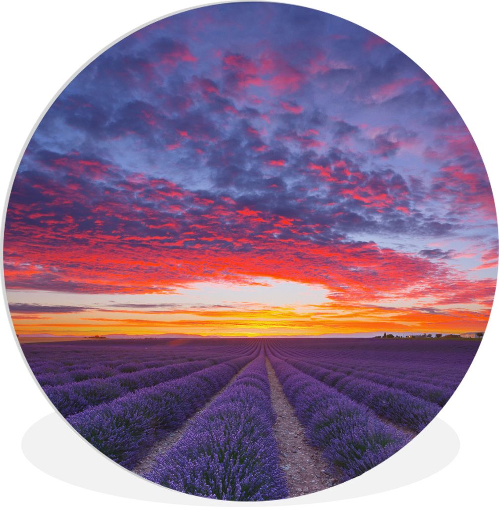 MuchoWow Rundes Wandbild - Runde Bilder Lavendelfeld bei Sonnenuntergang Ø 90 cm Kreis Wanddekoration Kunststoff - Wandkreis - Wandschmuck - Wan...