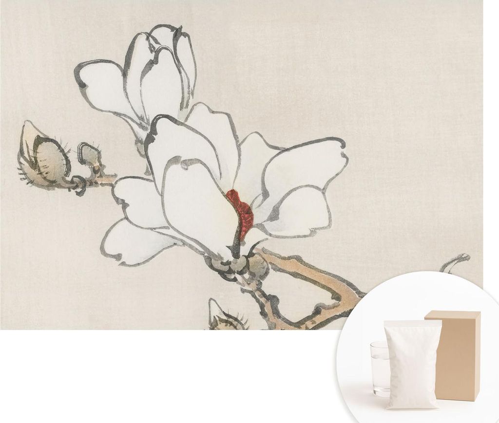 Fototapete - Wandbilder für Wohnzimmer - 152x104 cm - Dekorative Wandfolie - Modernes Design für Wanddekoration - Tapeten für Innenräume - Zart...