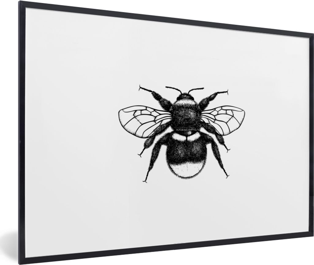 MuchoWow Gerahmtes Poster Hummel - Botanisch - Retro - Insekten 30x20 cm - Poster mit Schwarzem Bilderrahmen Wandposter Rahmen Foto Bilder - Kuns...