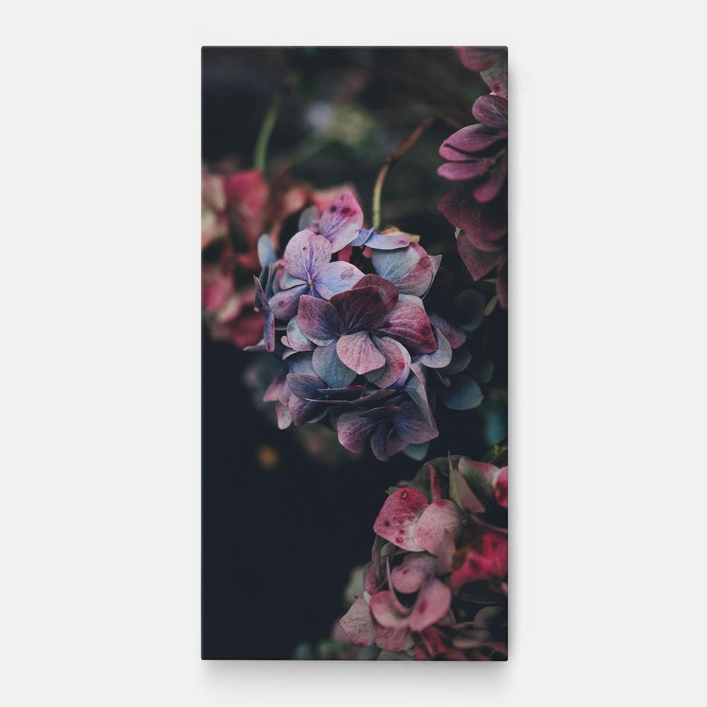 ARTHUB Leinwandbild 40x80 cm, Red Pink Flower | Wohnzimmerdekoration, Hängende Bilder, Wanddekoration, Heimdekoration, Blumen, Blumen in der Natur