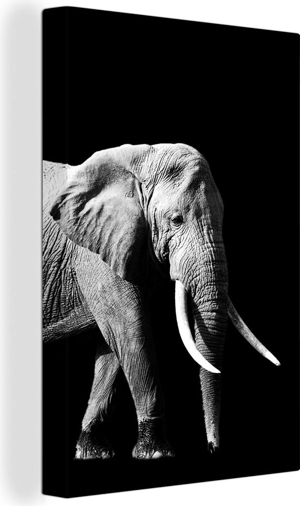 OneMillionCanvasses - Leinwandbilder - 90x140 cm, Elefant mit langen Reißzähnen auf schwarzem Hintergrund - schwarz und weiß, Wandbilder Kunst...