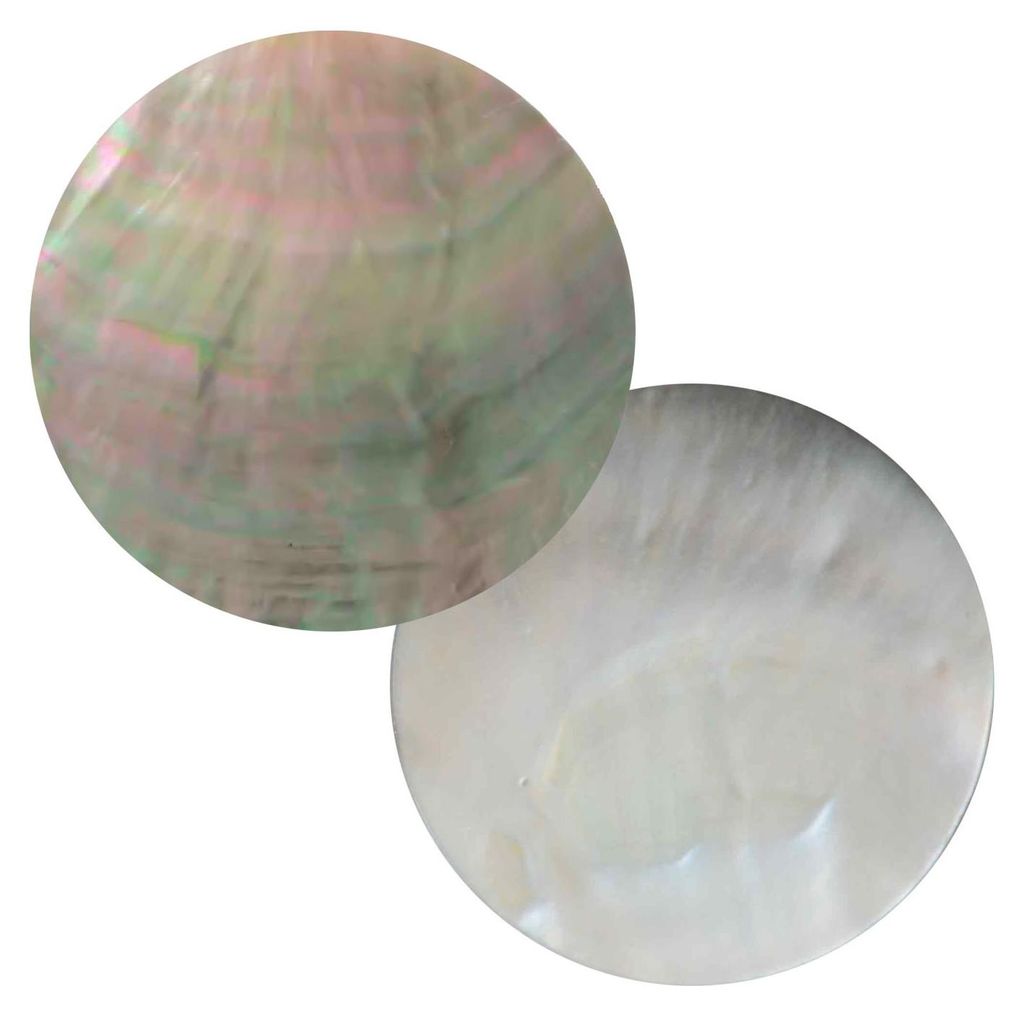 1 Muschel Cabochon Anhänger Rohling 5cm Produktbild 