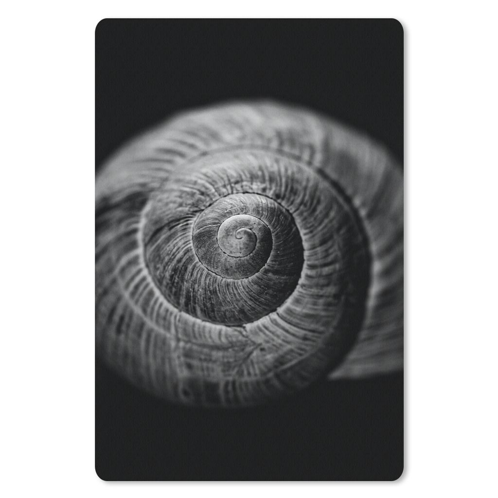 MuchoWow Mauspad Mousepad Schnecke - Tiere - Schwarz - Weiß - Schneckenhaus 40x60 cm - Mousepads - Maus Mat - Pad - Mausunterlage - Schreibtisch...